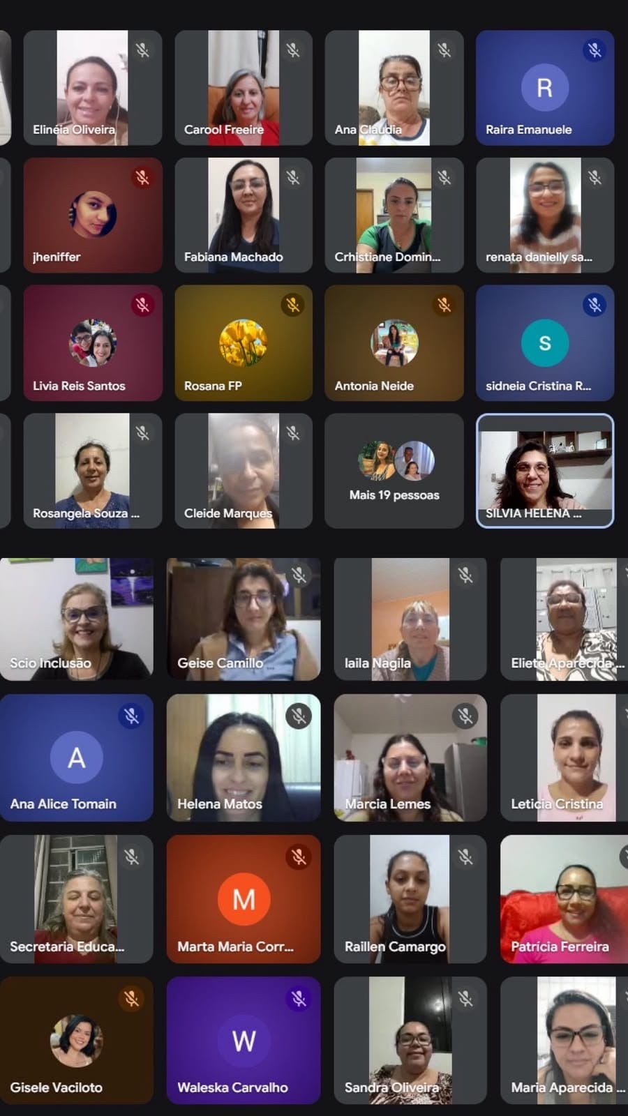 Encontro formativo online com professoras participantes